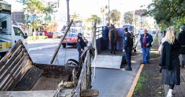 Prisão ocorreu em área de proibição de circulação de veículos de tração animal