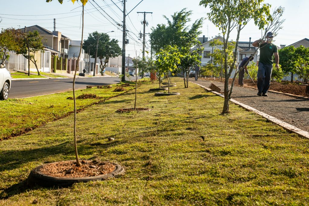 Prefeitura faz novo mutirão em áreas verdes, viadutos e espaços